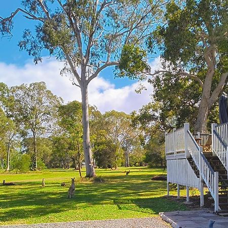 Lake Weyba Noosa Lodge & Kangaroos Peregian Beach Dış mekan fotoğraf