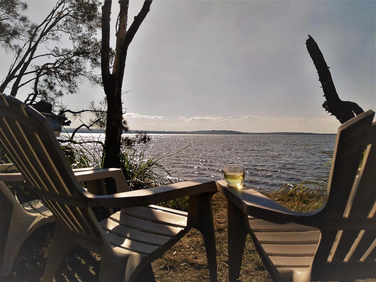 Lake Weyba Noosa Lodge & Kangaroos Peregian Beach Dış mekan fotoğraf