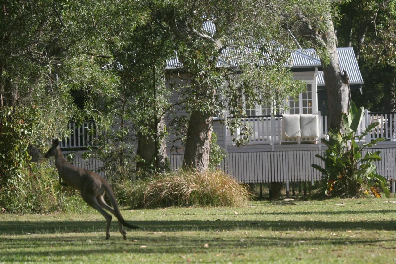 Lake Weyba Noosa Lodge & Kangaroos Peregian Beach Dış mekan fotoğraf
