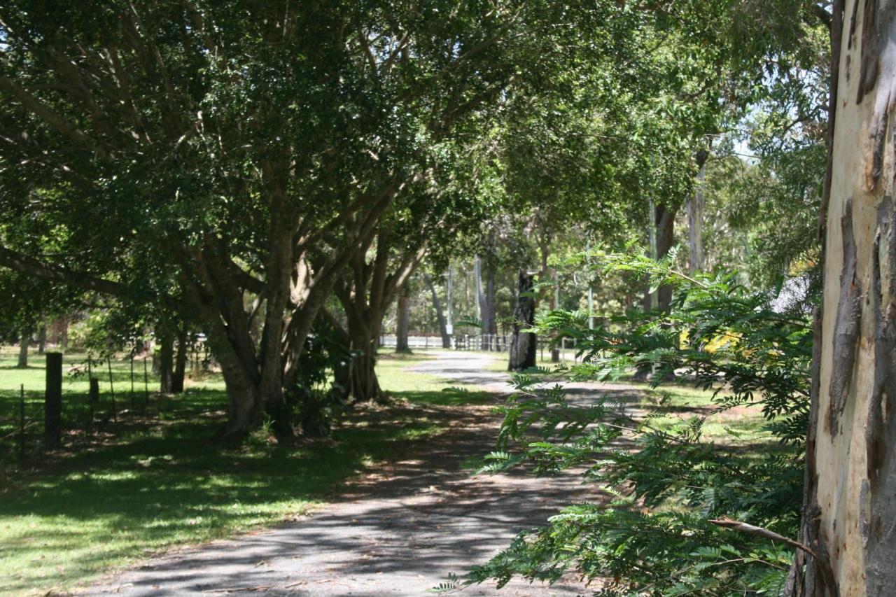 Lake Weyba Noosa Lodge & Kangaroos Peregian Beach Dış mekan fotoğraf