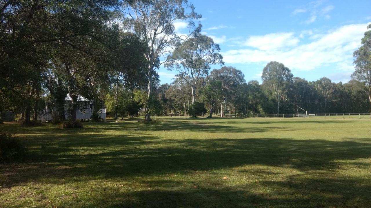 Lake Weyba Noosa Lodge & Kangaroos Peregian Beach Dış mekan fotoğraf