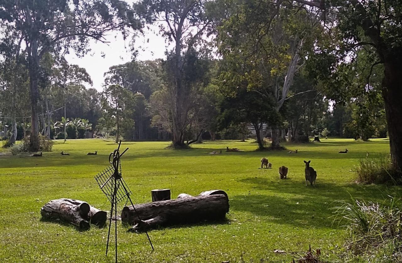 Lake Weyba Noosa Lodge & Kangaroos Peregian Beach Dış mekan fotoğraf