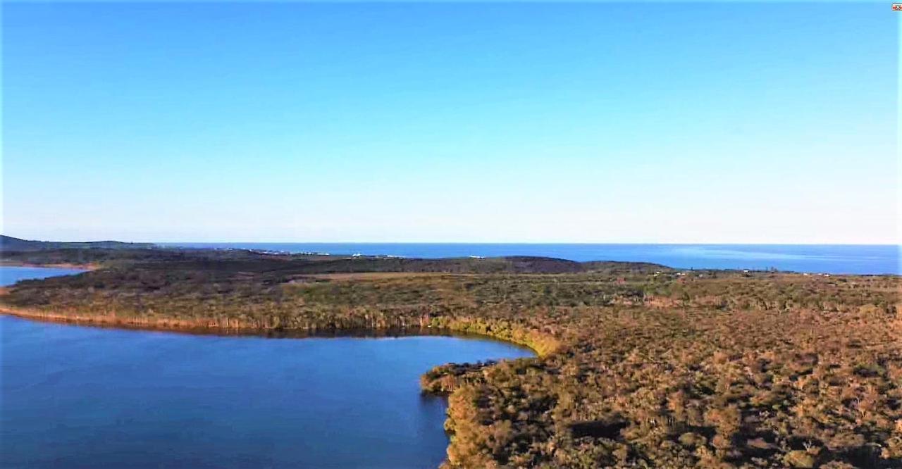 Lake Weyba Noosa Lodge & Kangaroos Peregian Beach Dış mekan fotoğraf