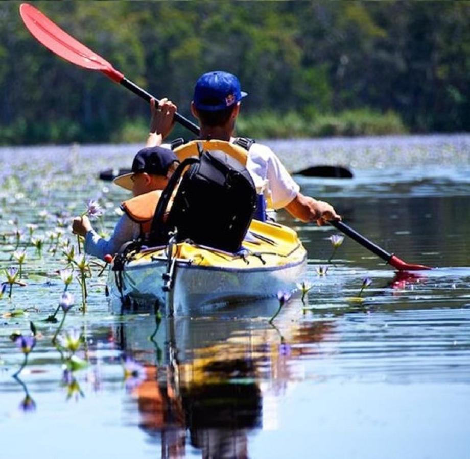 Lake Weyba Noosa Lodge & Kangaroos Peregian Beach Dış mekan fotoğraf