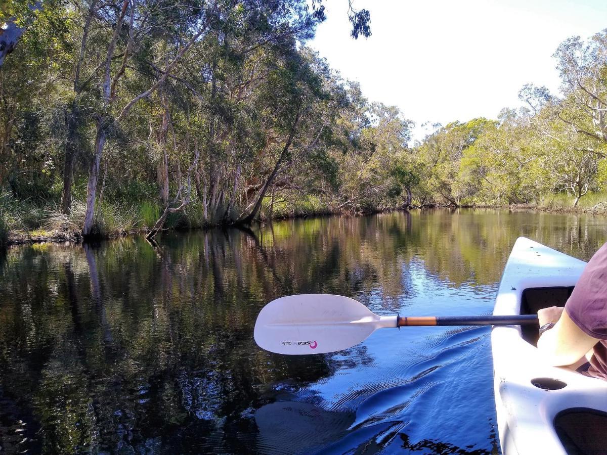 Lake Weyba Noosa Lodge & Kangaroos Peregian Beach Dış mekan fotoğraf