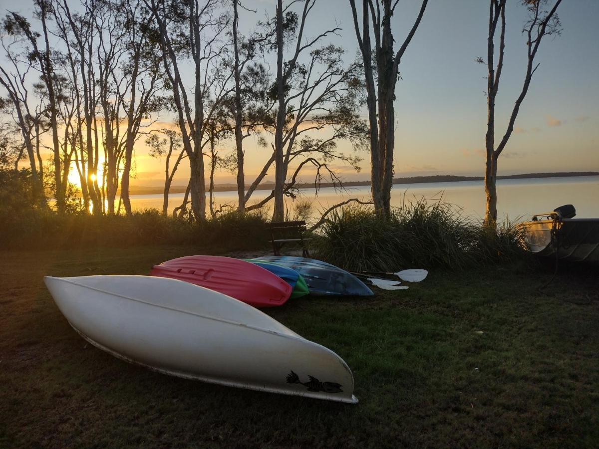 Lake Weyba Noosa Lodge & Kangaroos Peregian Beach Dış mekan fotoğraf