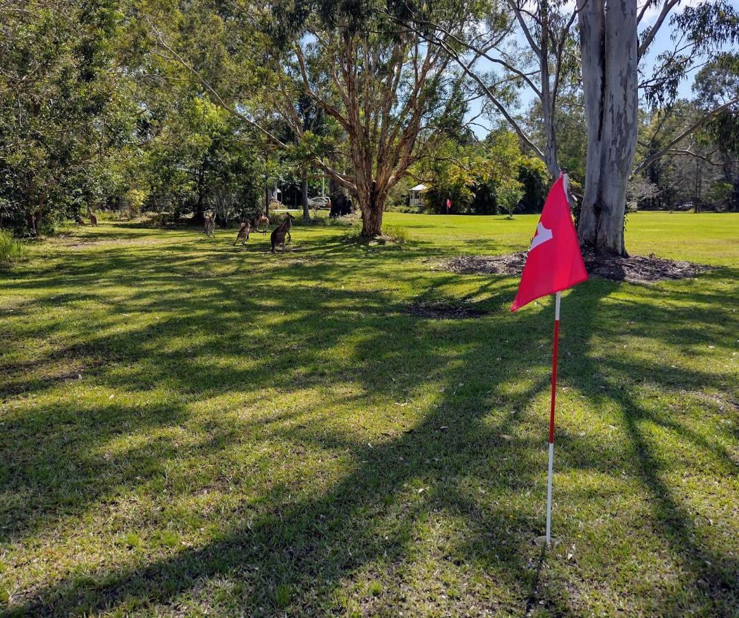Lake Weyba Noosa Lodge & Kangaroos Peregian Beach Dış mekan fotoğraf