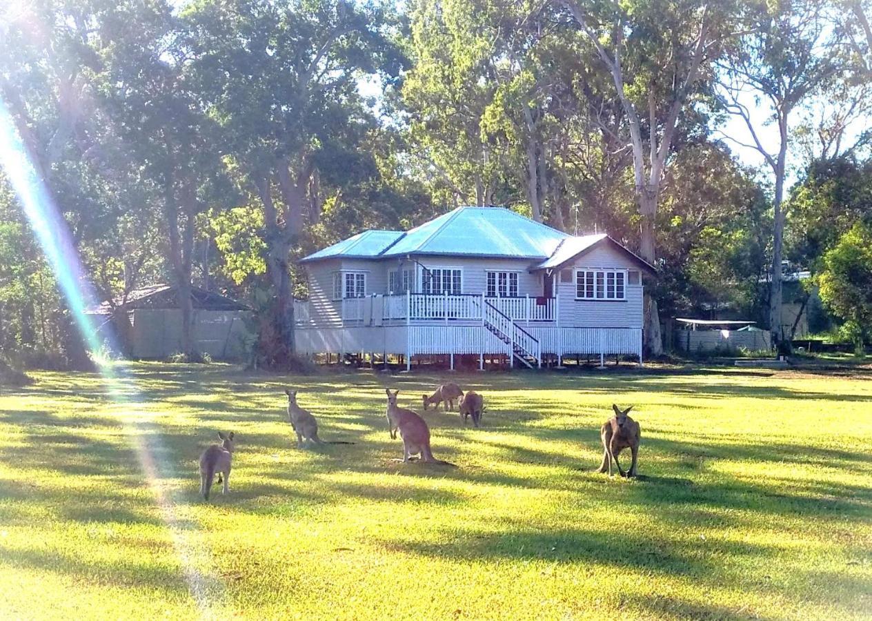 Lake Weyba Noosa Lodge & Kangaroos Peregian Beach Dış mekan fotoğraf