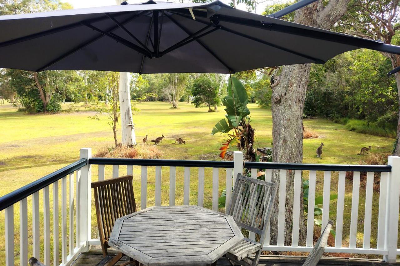 Lake Weyba Noosa Lodge & Kangaroos Peregian Beach Dış mekan fotoğraf