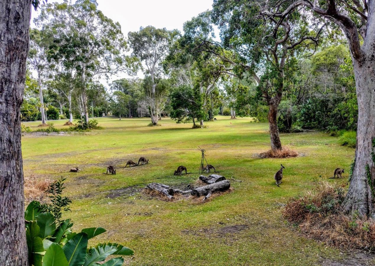 Lake Weyba Noosa Lodge & Kangaroos Peregian Beach Dış mekan fotoğraf