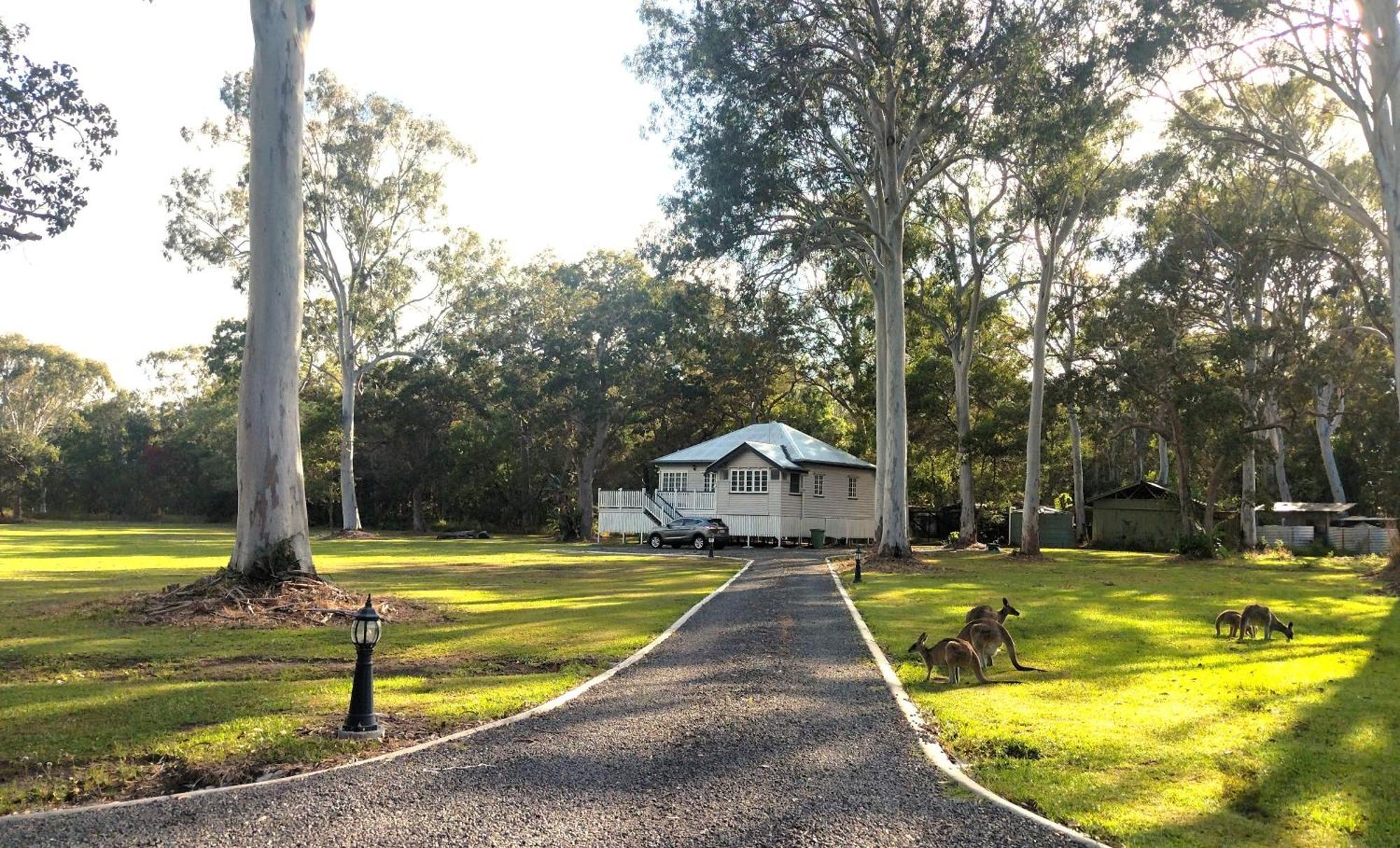 Lake Weyba Noosa Lodge & Kangaroos Peregian Beach Dış mekan fotoğraf