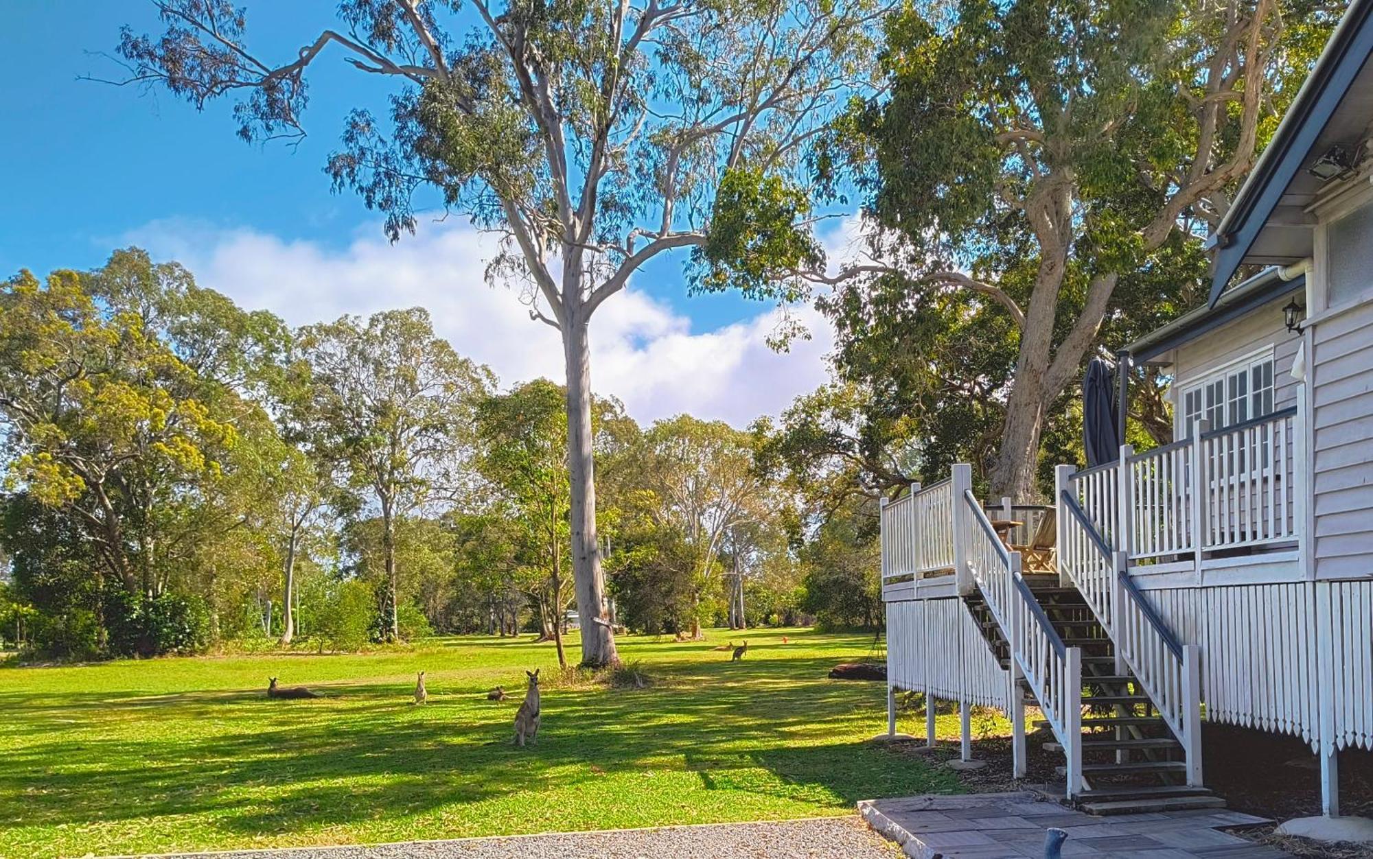Lake Weyba Noosa Lodge & Kangaroos Peregian Beach Dış mekan fotoğraf